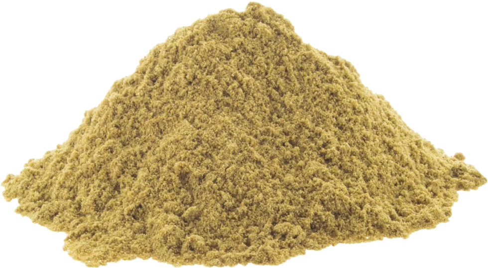 Coriander Powder – premium quality