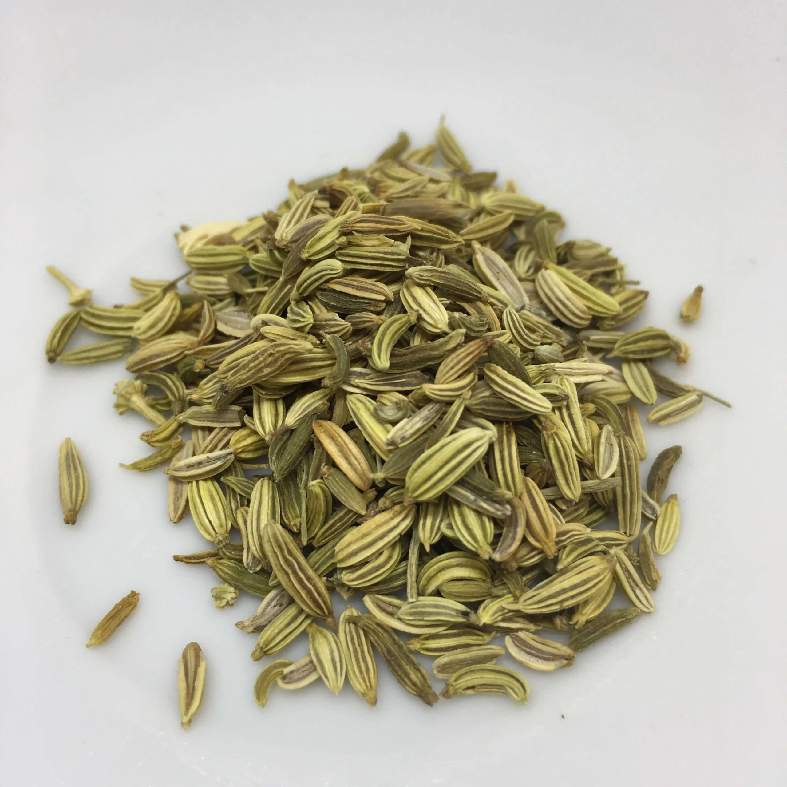 Fennel Seeds – premium quality