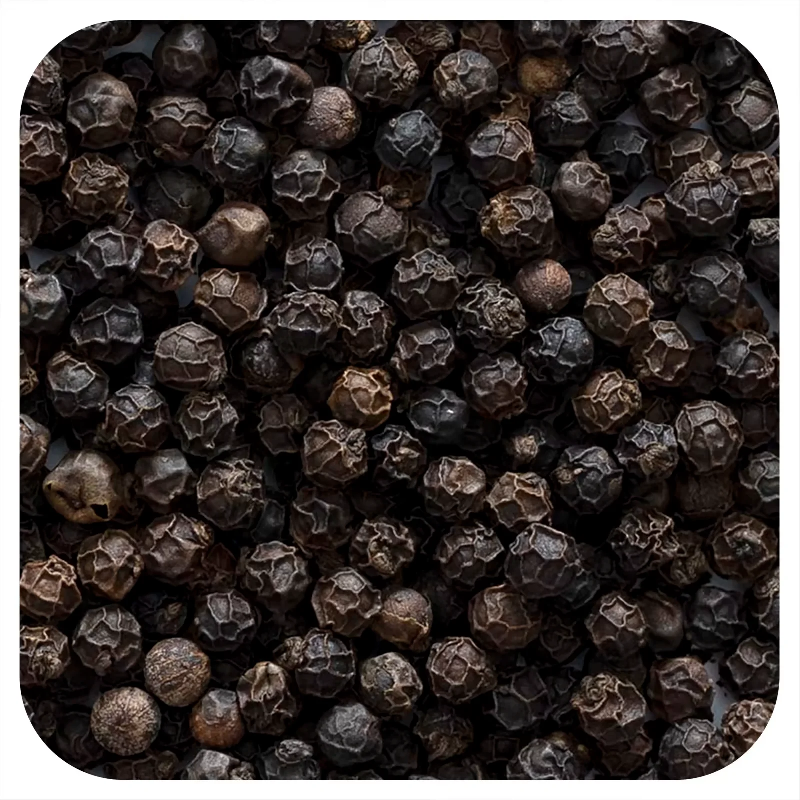 Tellicherry Black Pepper - Wholesale export quality